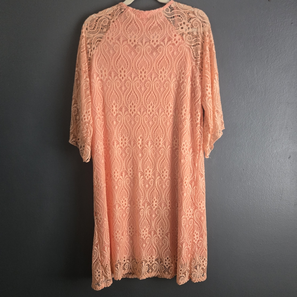 Lace Romantic Soft Girl Sheath 3/4 Sleeve Peach XL Dress - Picture 2 of 7